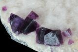 Dark Purple Cubic Fluorite on Quartz - China #94314-3